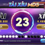 Tài xỉu MD5 - kinh nghiệm chơi game cá cược thắng lớn